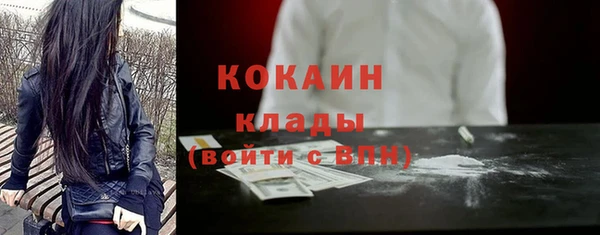 ГАЛЛЮЦИНОГЕННЫЕ ГРИБЫ Аркадак